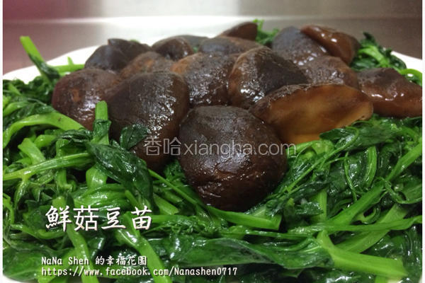 鲜菇豆苗