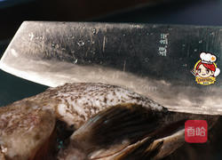 清蒸蚝油石斑鱼的做法图解2