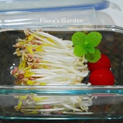 自制安心豆芽菜的做法[图]