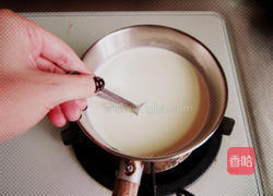 简易鲜奶酪的做法图解4