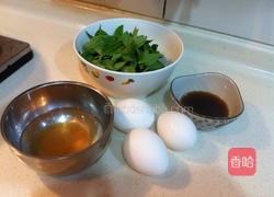 九层塔甜酒蛋的做法图解1