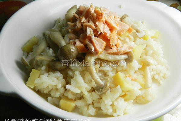 鲑鱼菇菇炊饭