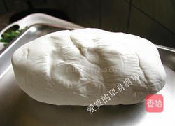 鲜肉汤圆的做法图解9