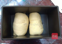 蜂蜜养乐多吐司的做法图解4