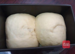 蜂蜜养乐多吐司的做法图解5