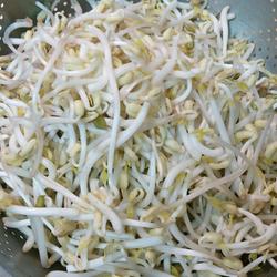 孵豆芽菜的做法[图]