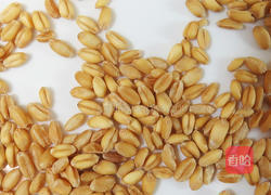 甘麦大枣汤的做法图解7