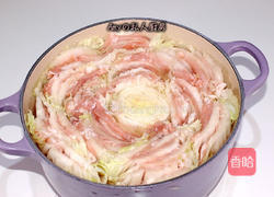 白菜豚肉锅的做法图解4