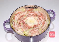 白菜豚肉锅的做法图解3