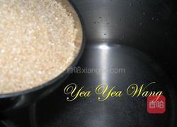 糖渍李子的做法图解2