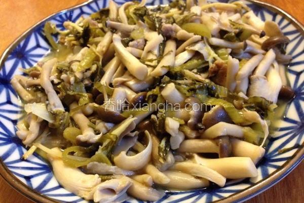 酸菜炒鲜菇