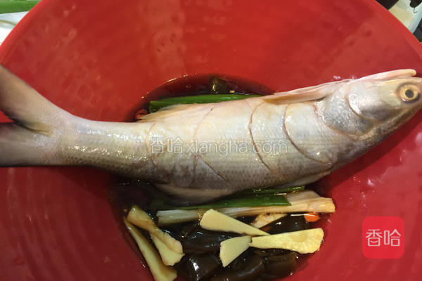 剁椒蒸午仔鱼