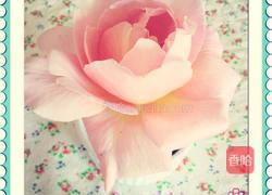 玫瑰花冰淇淋的做法图解5