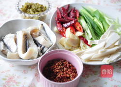 香辣酸菜鲟鱼片的做法图解2
