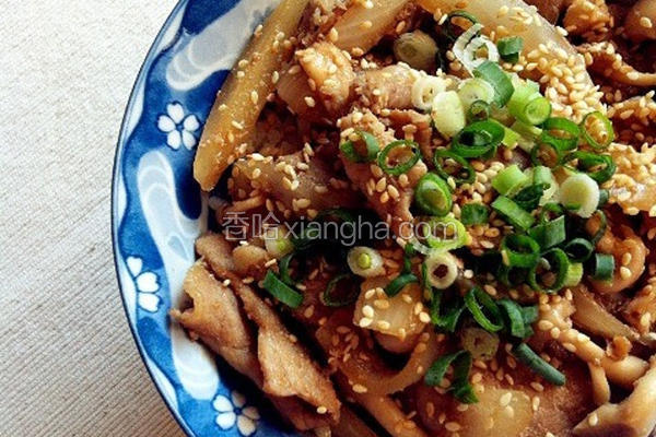 姜烧猪肉饭
