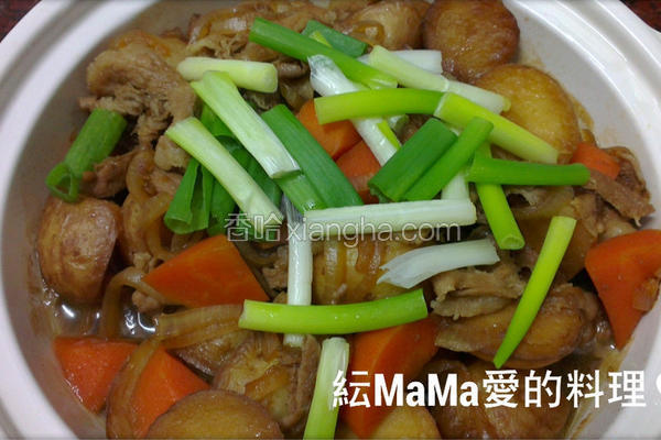 马铃薯炖猪肉