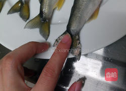 干煎香鱼的做法图解2