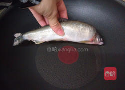 干煎香鱼的做法图解3