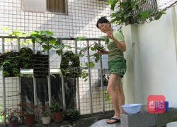 白葡萄酒的做法图解1