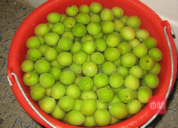 紫苏QQ梅的做法图解1