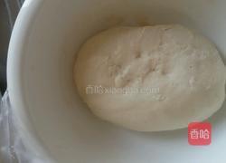 两面煎肉龙的做法图解7