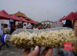 豆芽教的做法图解9