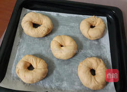 番茄贝果的做法图解6