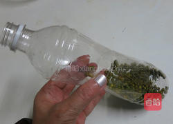 豆芽教的做法图解2