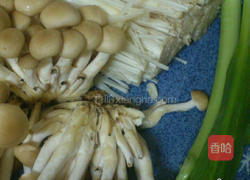 酱烧双菇的做法图解1