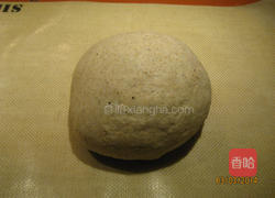 全麦胚芽馒头的做法图解2