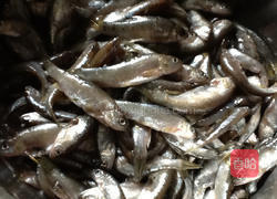 椒盐小溪鱼的做法图解1