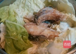 土魠鱼头锅的做法图解7