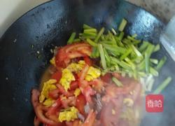 番茄炒鸡蛋的做法图解10