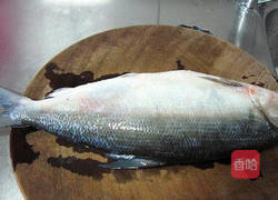 虱目鱼肚的做法图解1