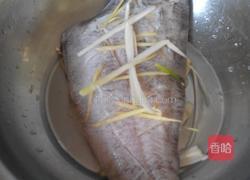 清蒸蝶鱼身的做法图解2