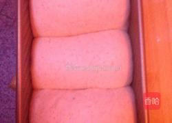 全麦吐司的做法图解5