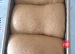 葡萄干红糖全麦吐司的做法图解4