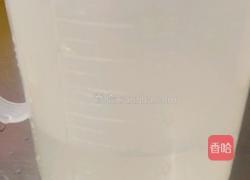 冰桔茶的做法图解2