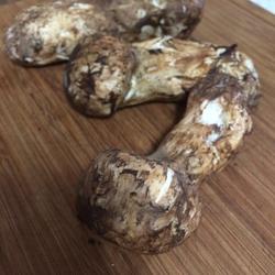 鸡油煎松茸的做法[图]