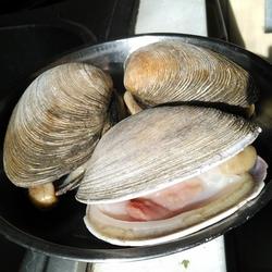 天鹅蛋饺子的做法[图]