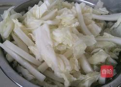 白菜粉条的做法图解3