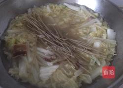 白菜粉条的做法图解5