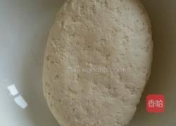 羊肉胡萝卜馅饺子的做法图解12
