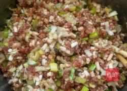 老北京千层牛肉饼。的做法图解1