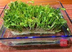 豌豆苗炒三丝的做法图解2