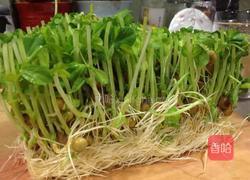 清炒菇菇豌豆苗的做法图解14