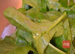 芝麻酱波菜的做法图解1