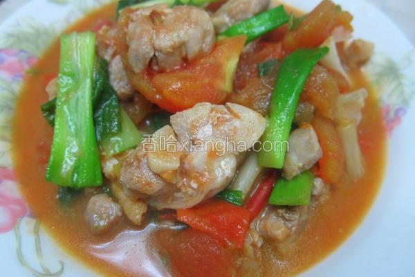 葱烧番茄鸡肉