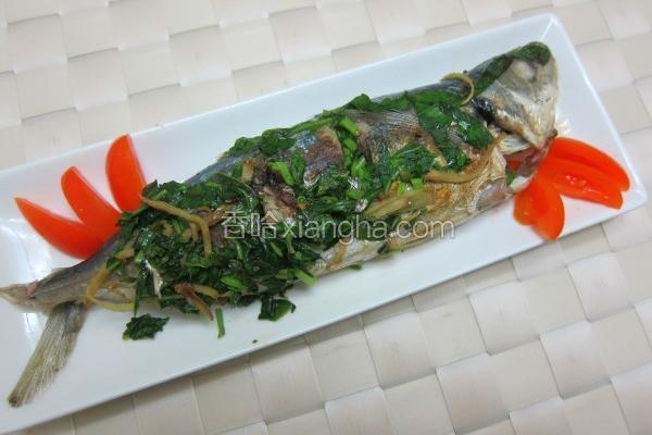 塔香干煎鱼