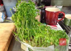 清炒菇菇豌豆苗的做法图解11